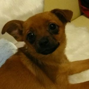 Meet your Posher, Kelvin